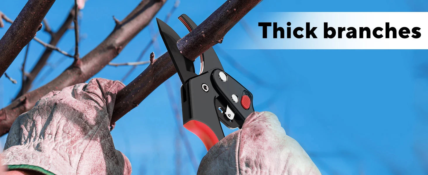 Garden Clippers