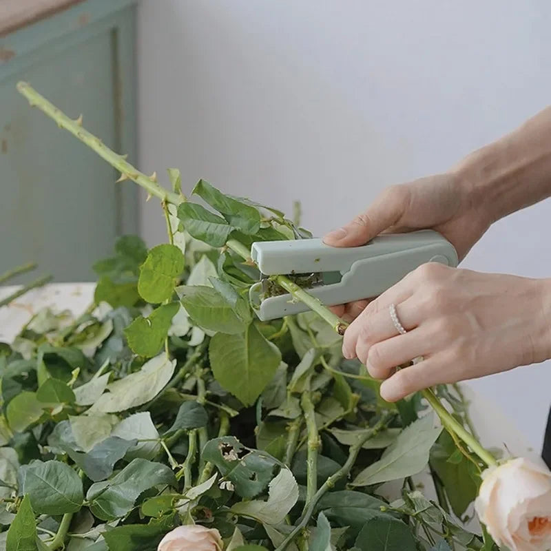 Rose Thorn Remover