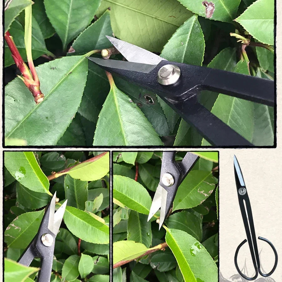 Steel Long Handle Scissors
