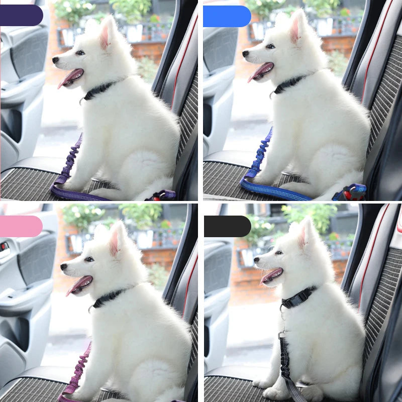 Pet Car Seat Belt