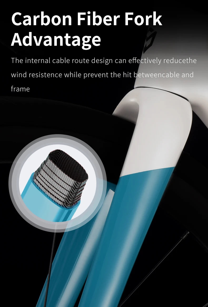 Carbon Road Bike