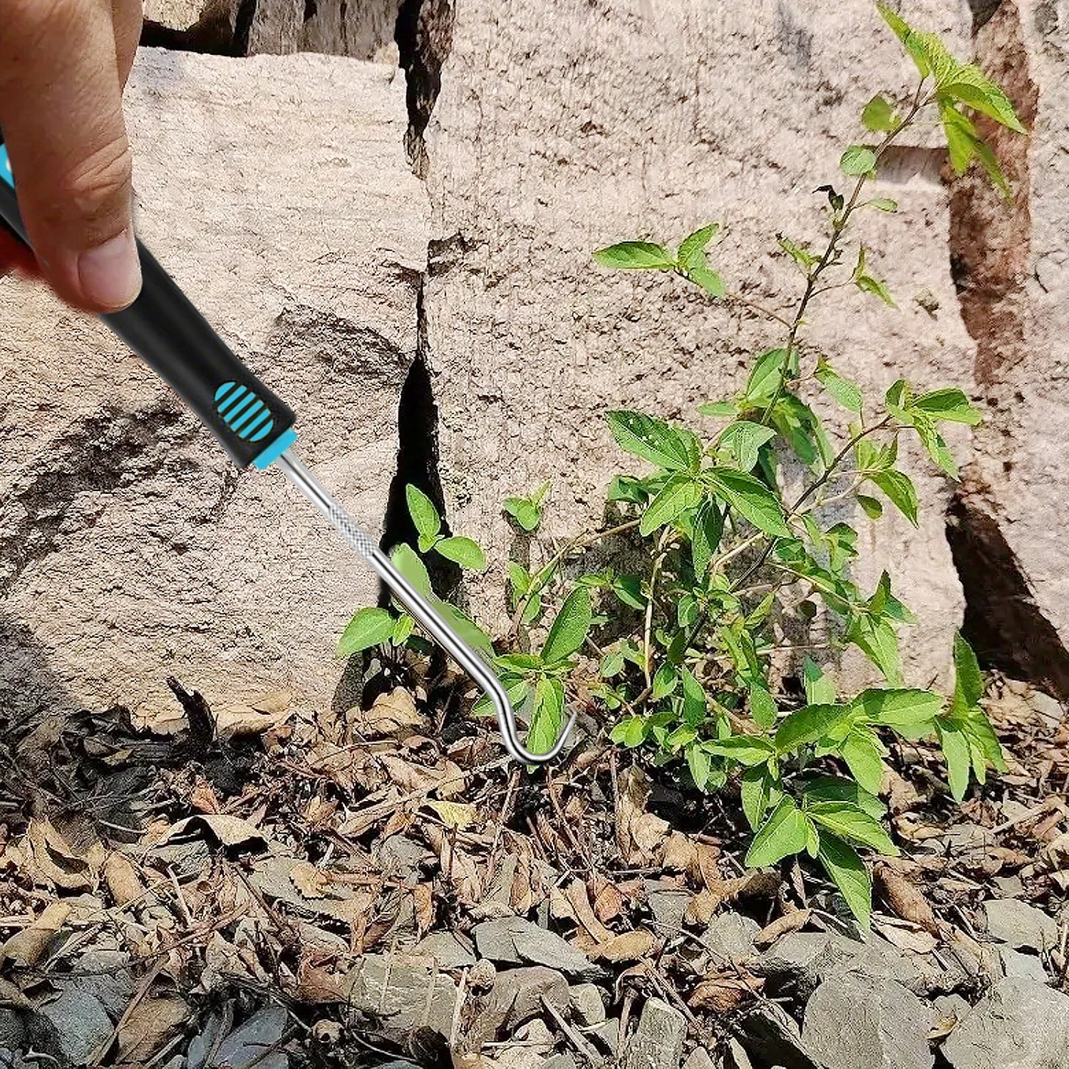 Weed Puller Tool