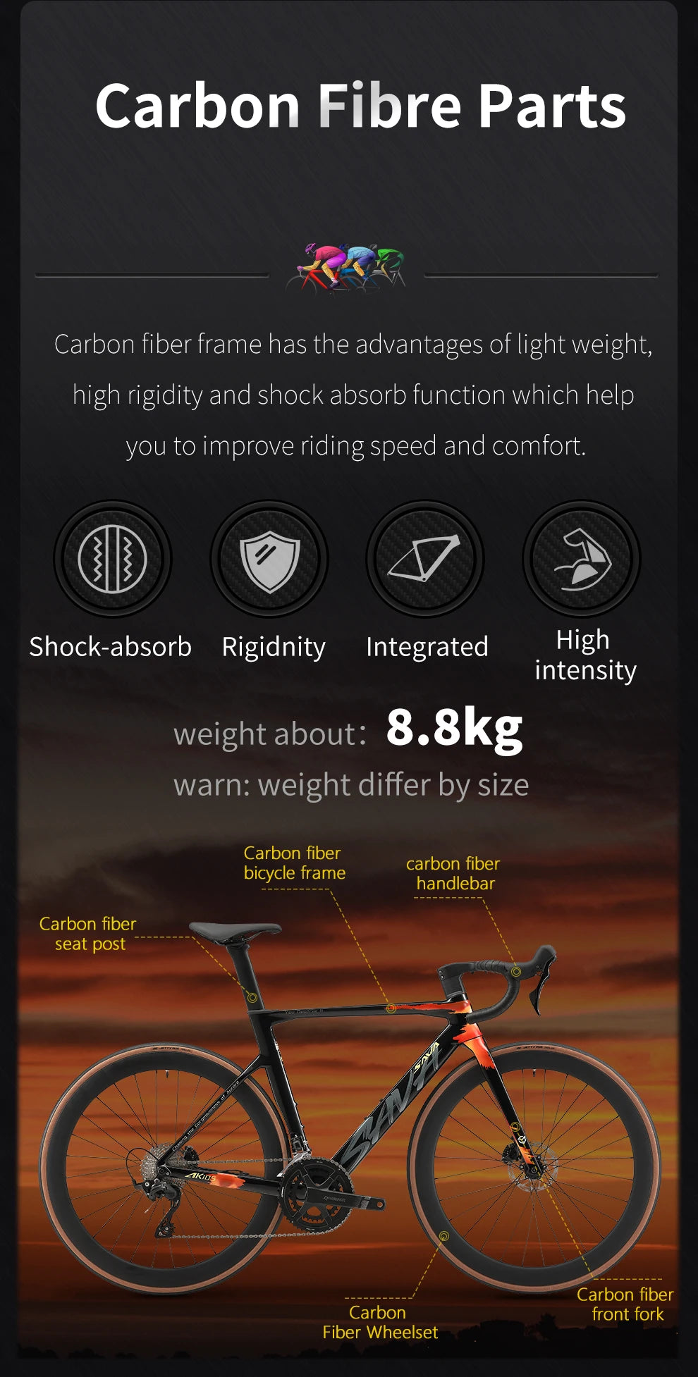 Full Carbon Fiber Road Bike