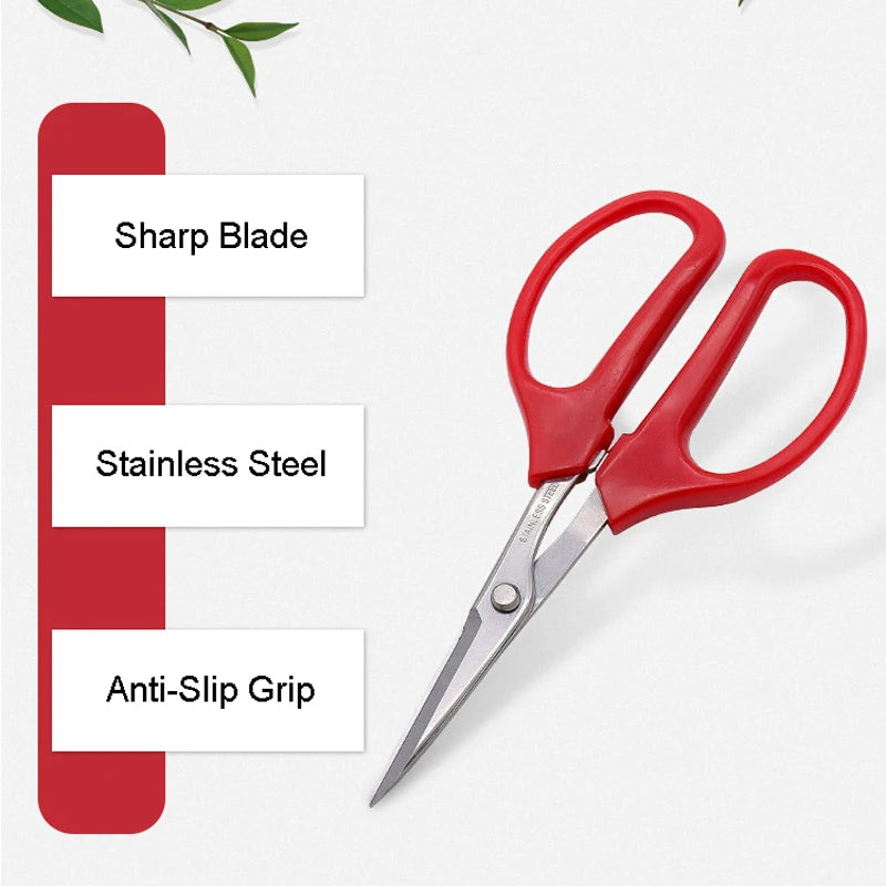 Whosesale Stainless Steel Fruit Grape Scissors