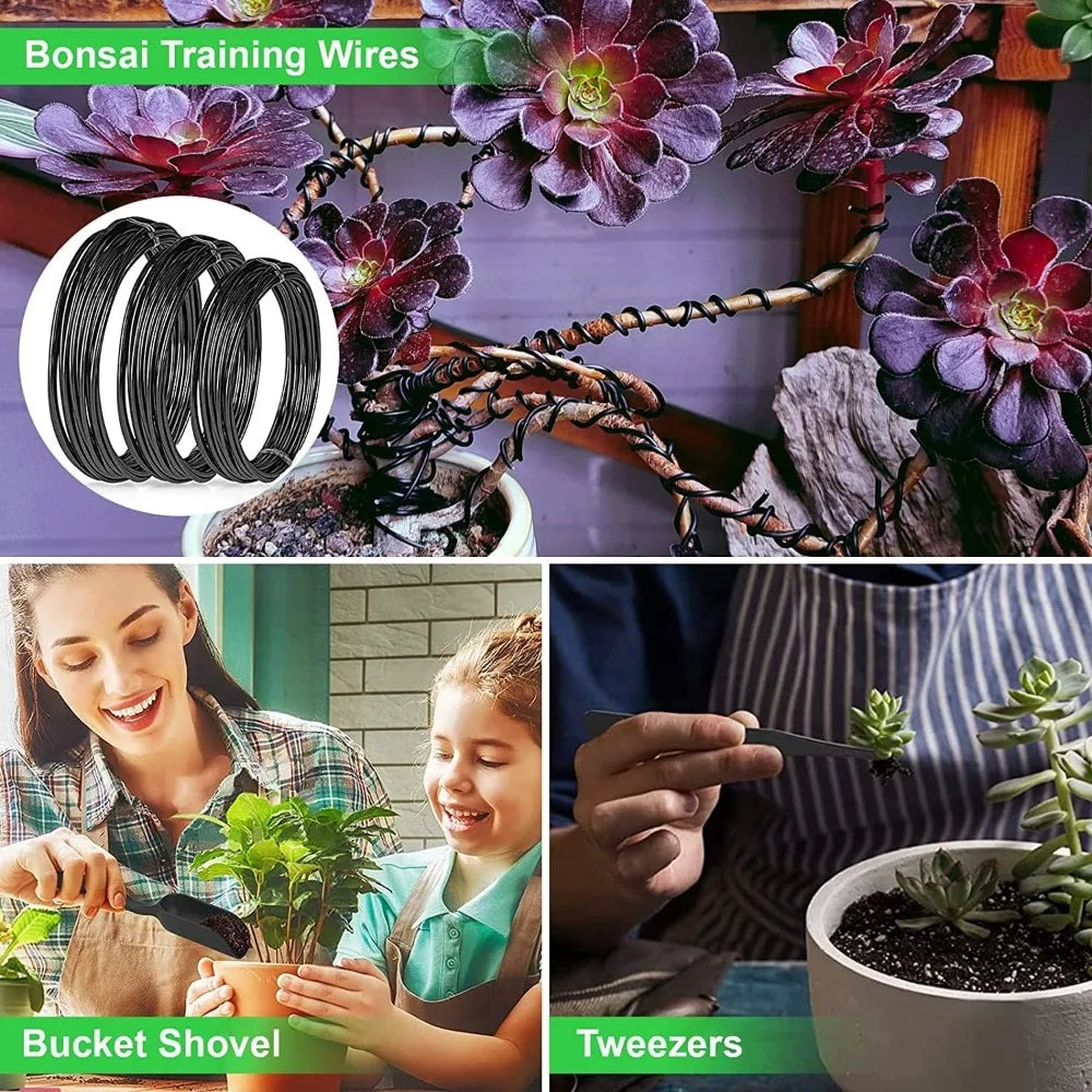 24 PCS Bonsai Tree Kit