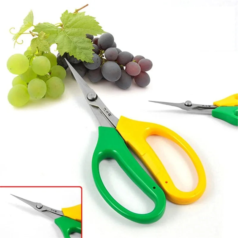 Multifunctional Alice Garden Scissors