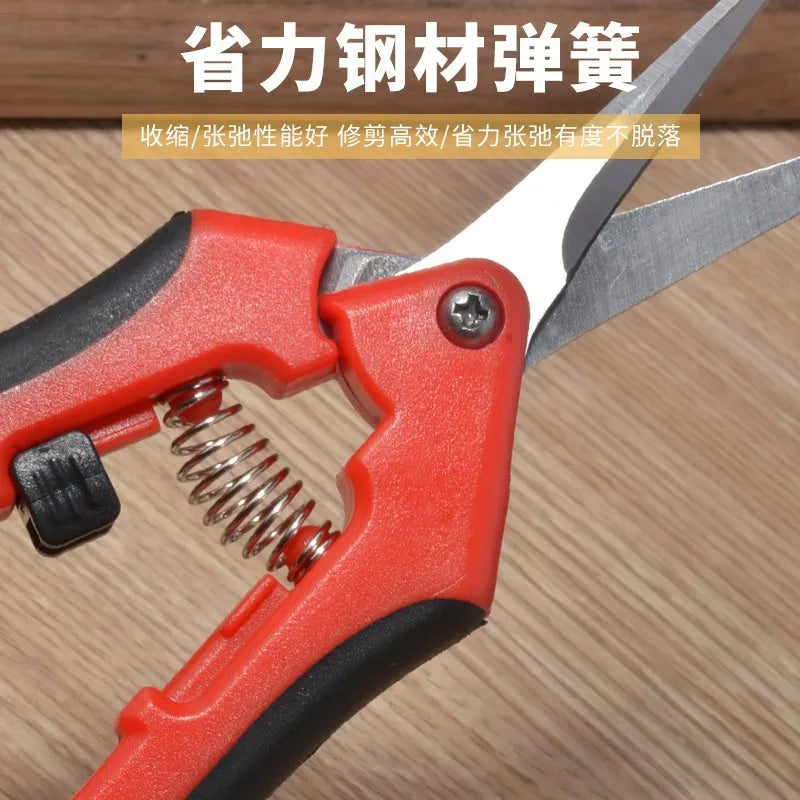 Powerful garden pruning scissors