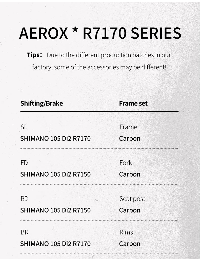 Full Carbon E-Shift Road Bike