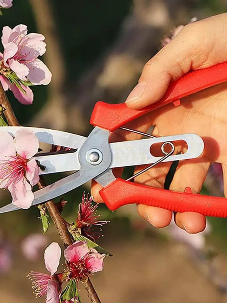 Double-edged Apple Picking Scissors