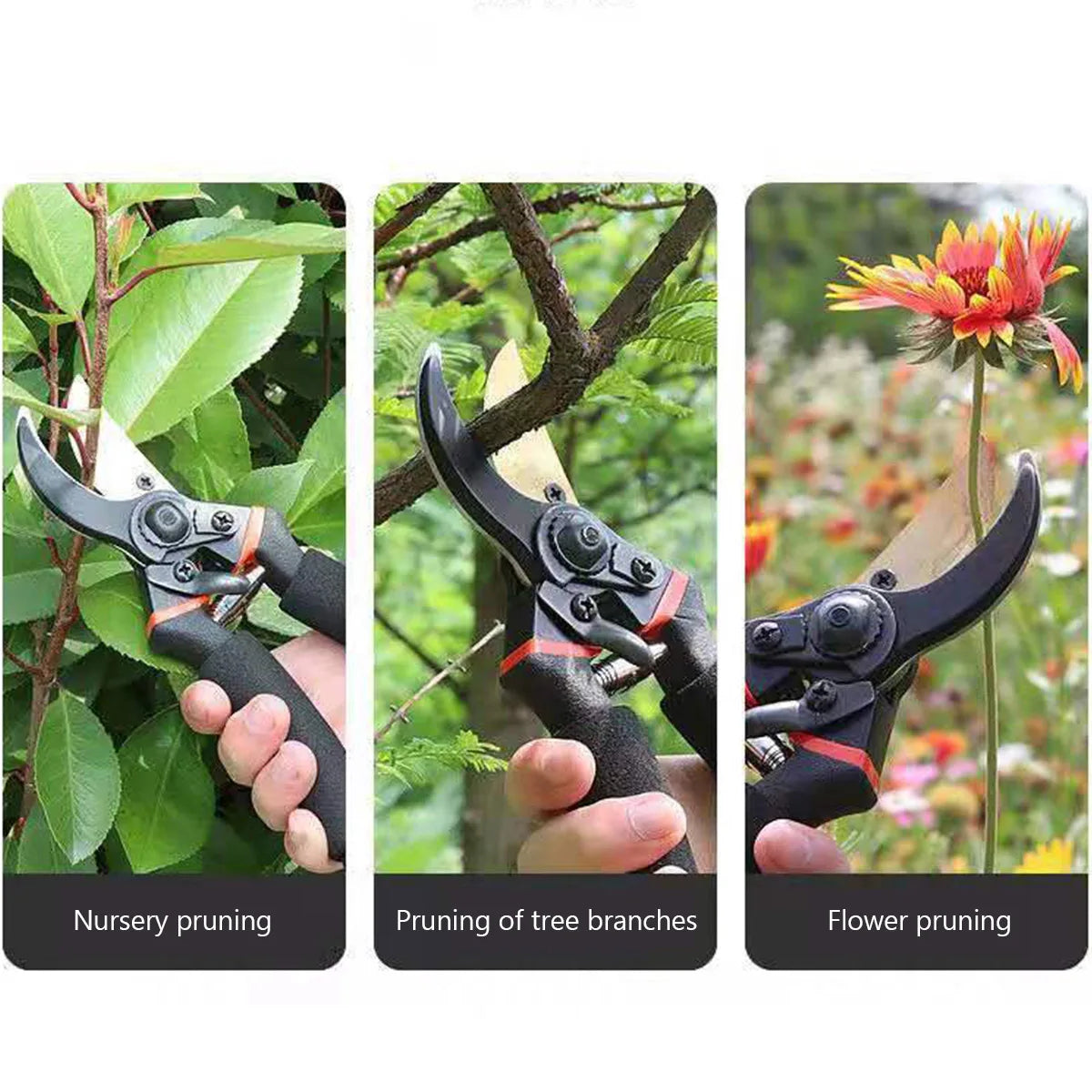 Garden Pruner Shears