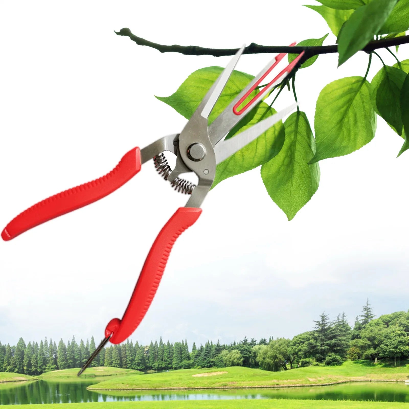 Double-edged Apple Picking Scissors