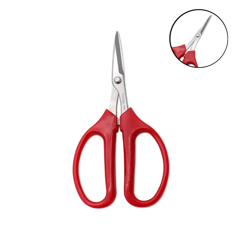 Stainless Steel Fruit Scissors