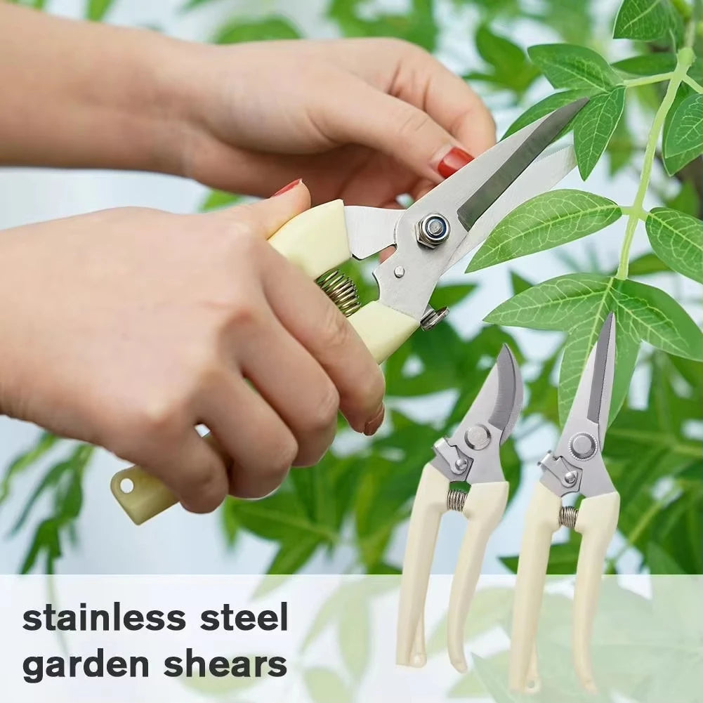 Stainless Steel Scissors Set