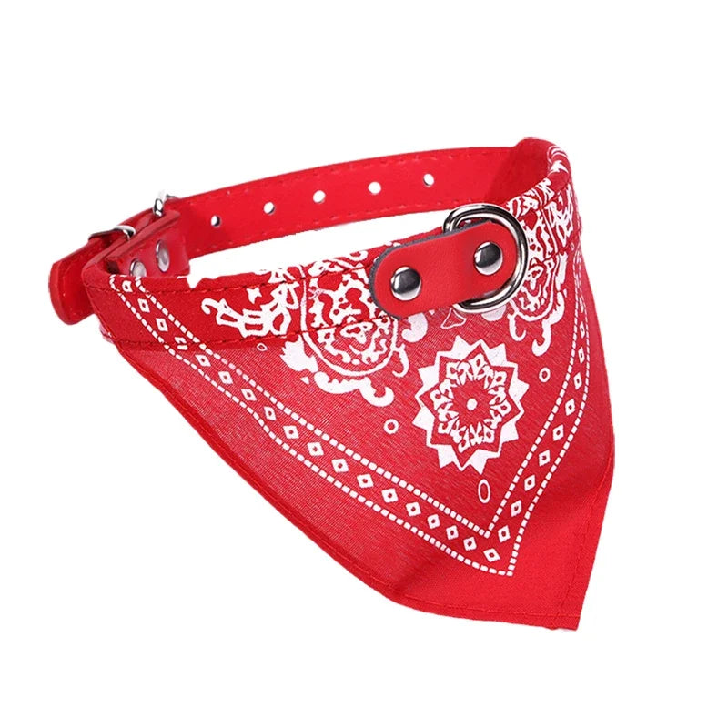 Dog Collar with Scarf