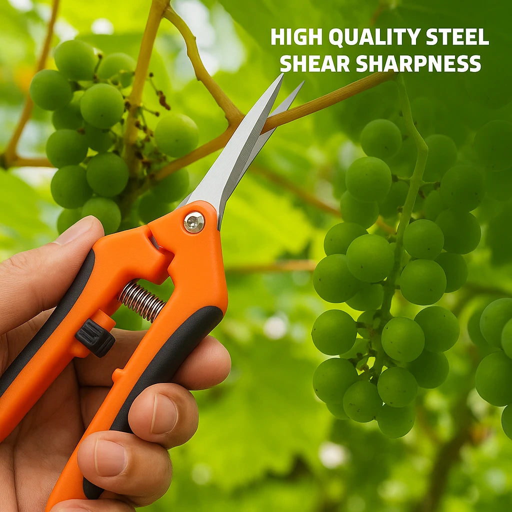 Straight-bladed pruning shears