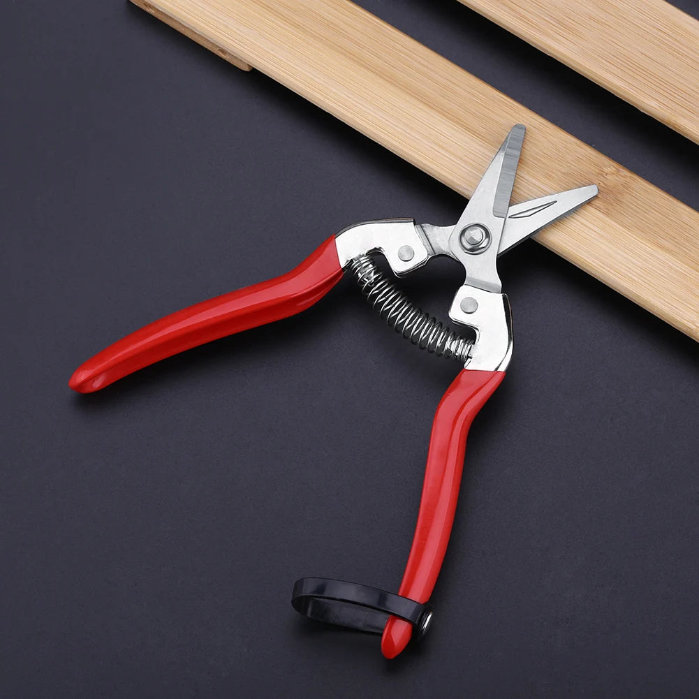 Fruit Tree Bonsai Gardening Pruning Shear