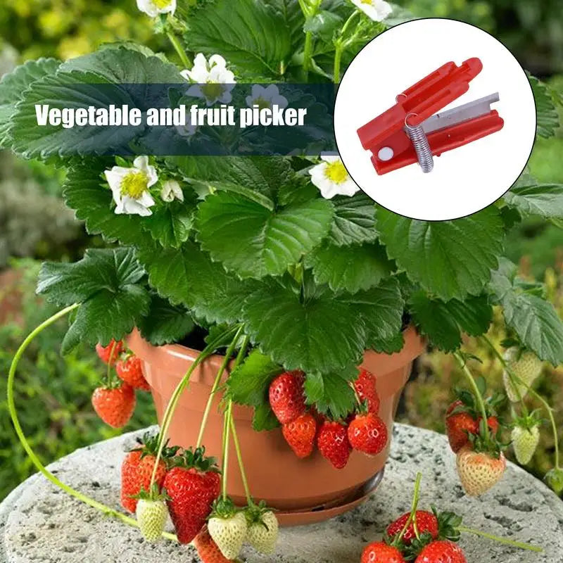 Gardening Thumb Pruner