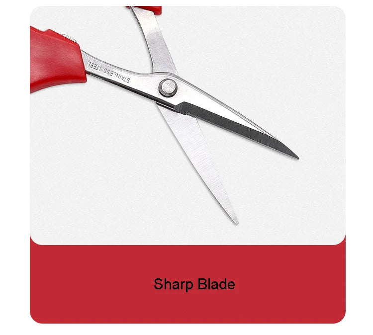 Whosesale Stainless Steel Fruit Grape Scissors