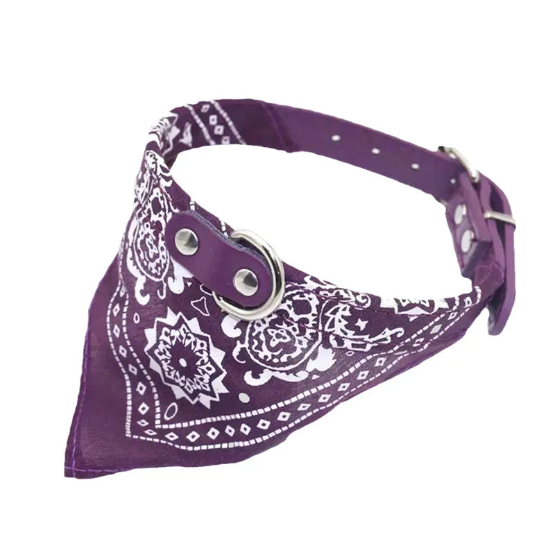 Dog Collar with Scarf