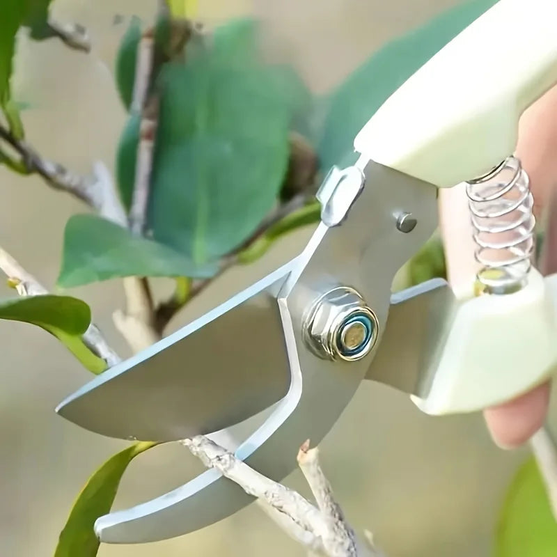 Stainless Steel Fruit Picking Shears