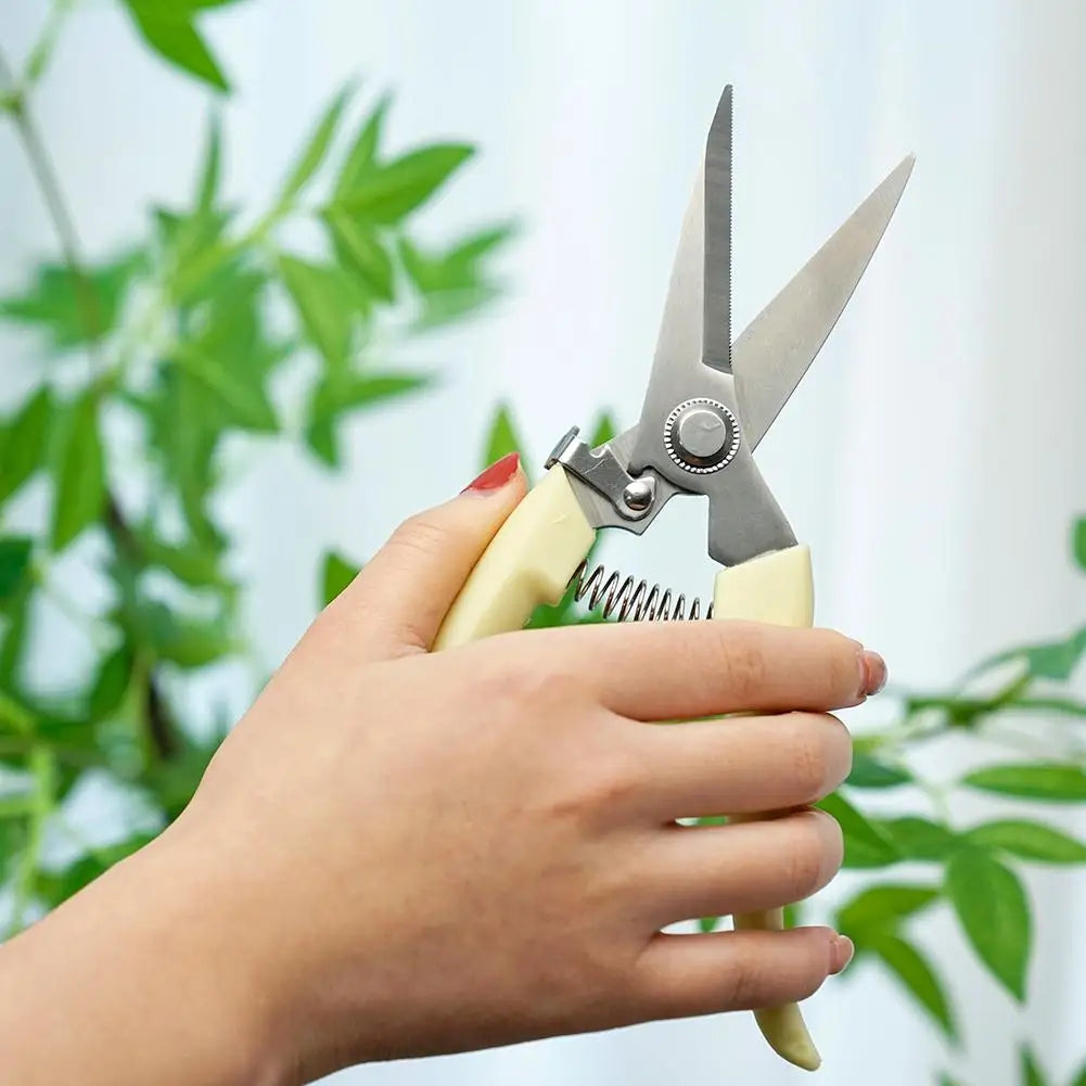 Professional Sharp Bypass Pruning Shears