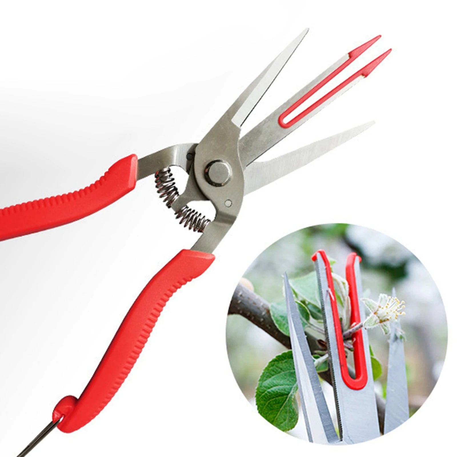 Double-edged Apple Picking Scissors