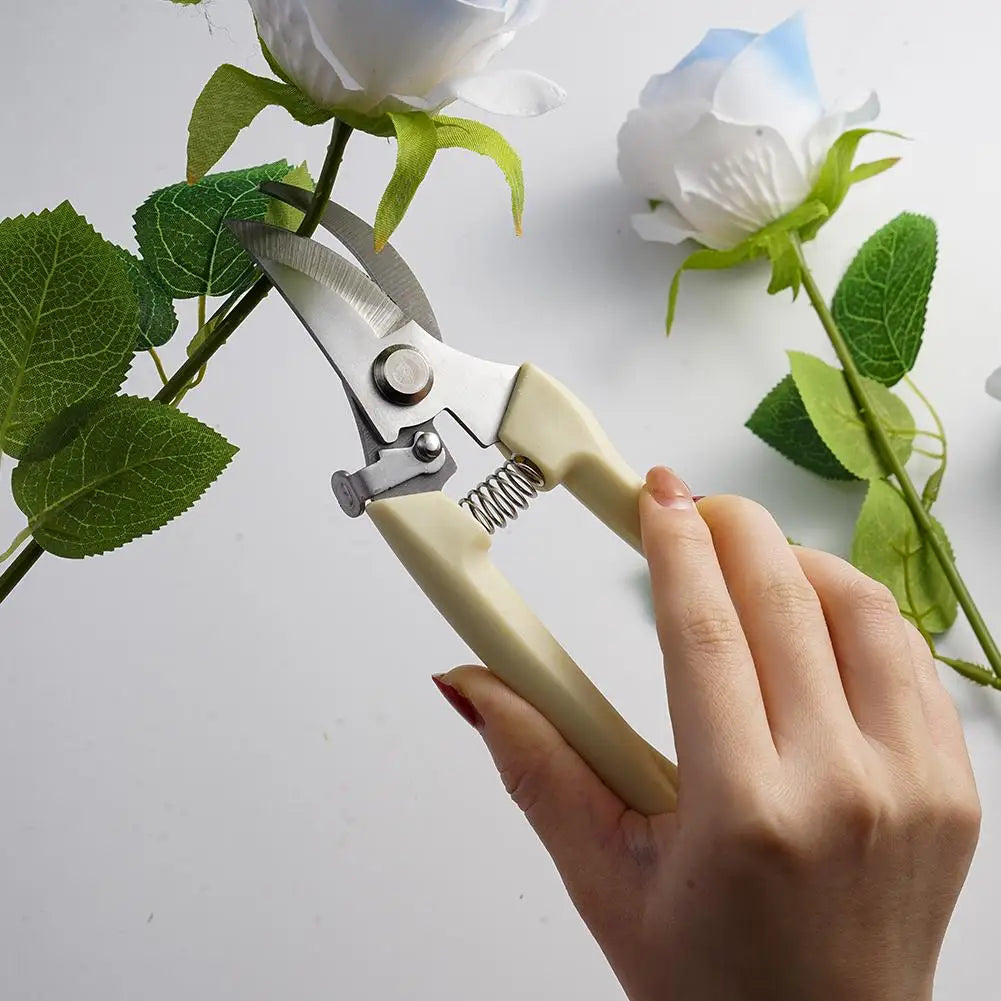 Pruning Garden Scissors