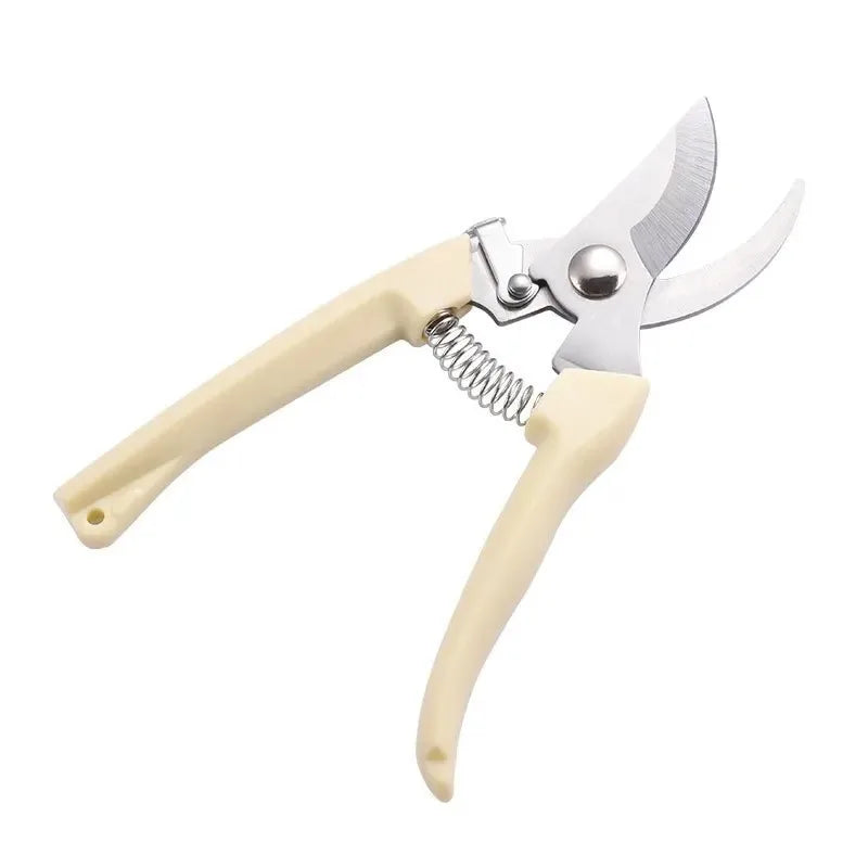 Stainless Steel Scissors