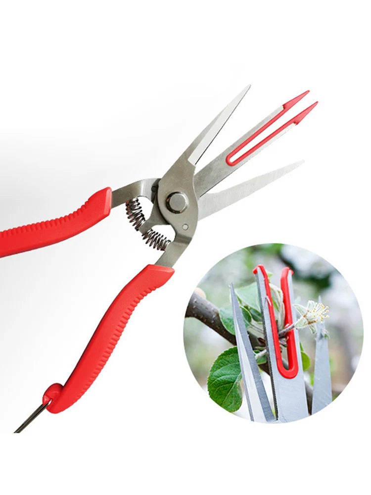 Double-edged Apple Picking Scissors