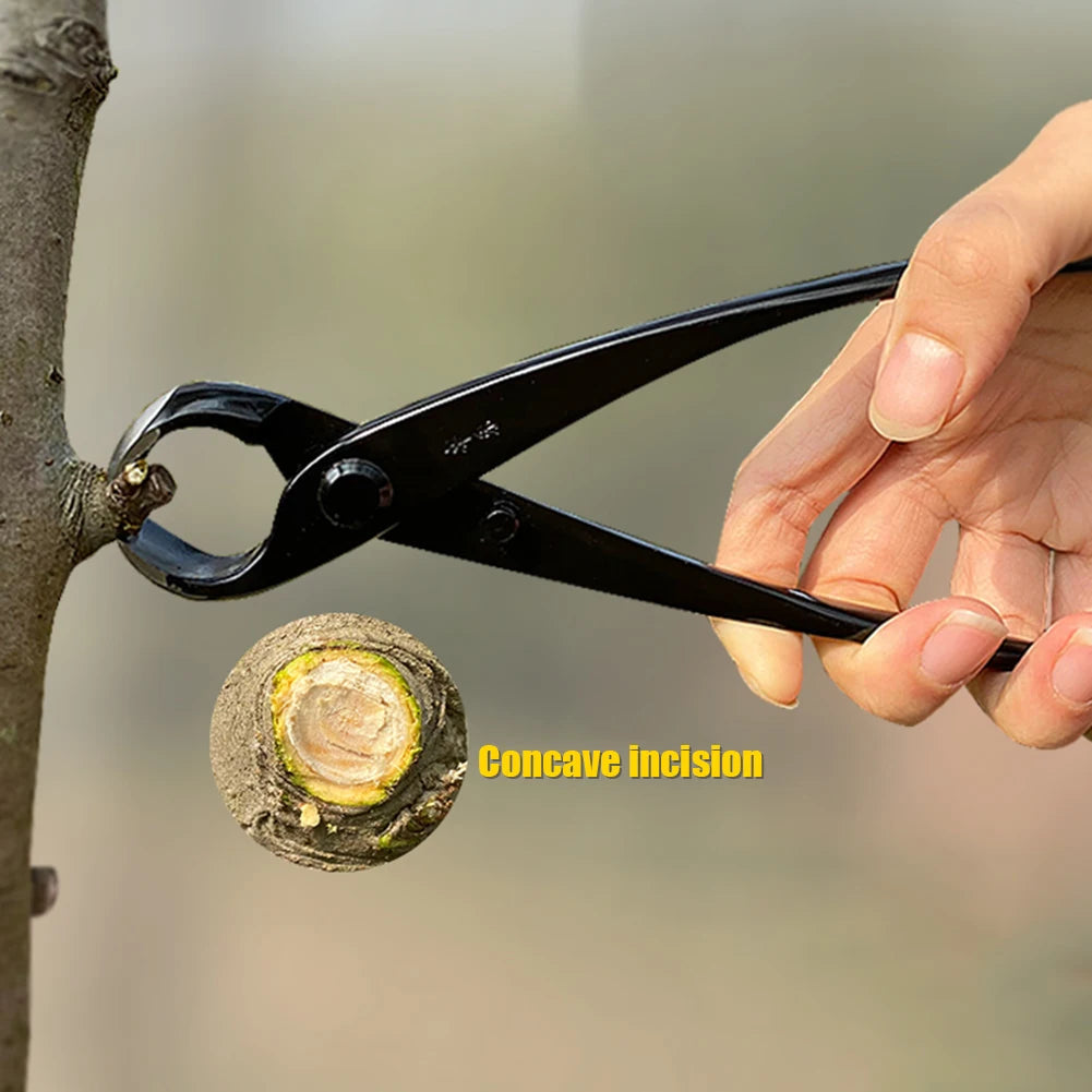 Gardening Maintenance Tools