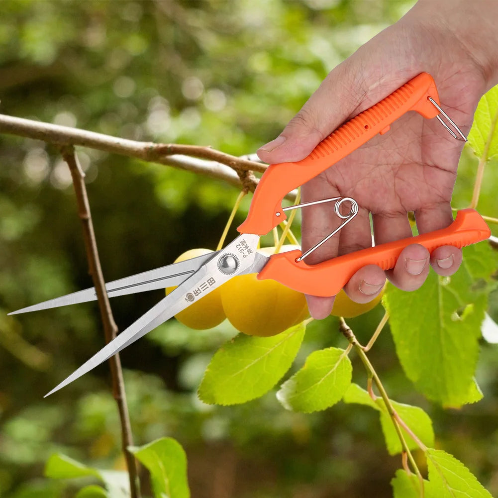 Garden Shear Plant Scissor