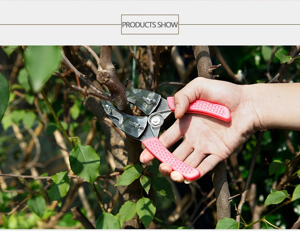 Grafting Cutting Tool