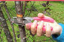 Grafting Cutting Tool