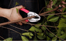 Grafting Cutting Tool