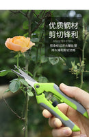 Garden Tools Secateurs