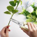 Pruning Garden Scissors