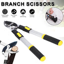 Telescopic Long Length Scissor