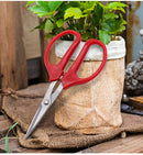 Whosesale Stainless Steel Fruit Grape Scissors