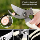 Stainless Steel Scissors Set