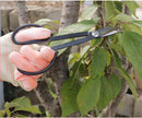 Steel Long Handle Scissors