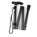 Multifunction Walking Stick