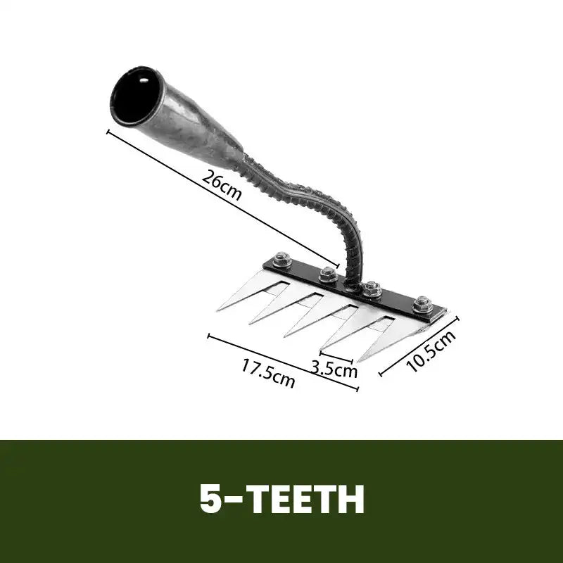 5 Teeth