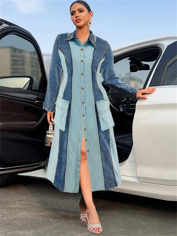 Women's Plus Size Denim Dress
