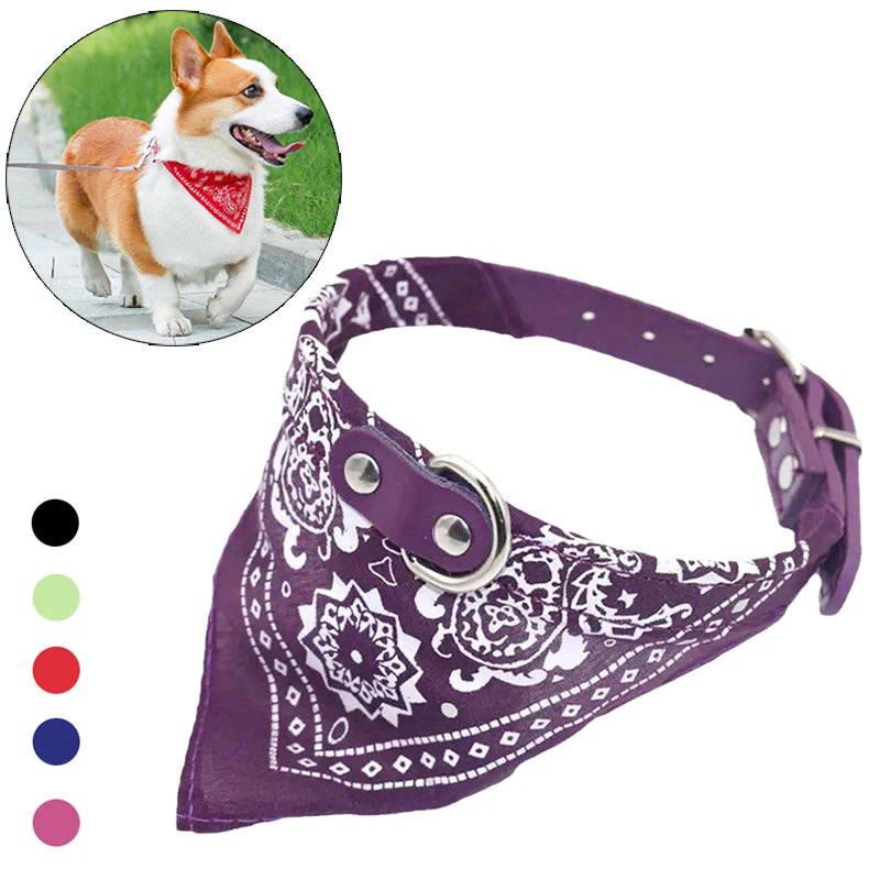 Dog Collar with Scarf