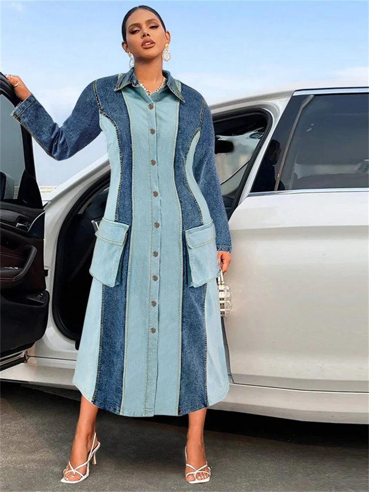Women's Plus Size Denim Dress