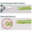 Stainless Steel Non Slip Handle Garden Scissors