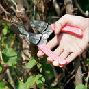 Grafting Cutting Tool