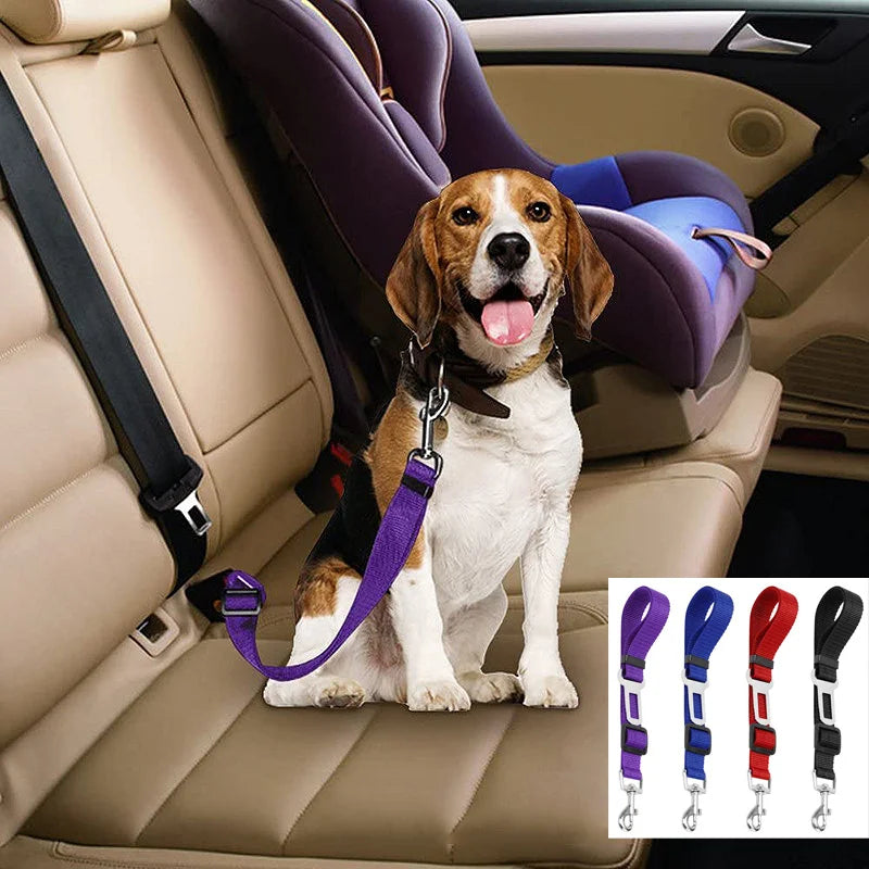 Pet Car Seat Belt