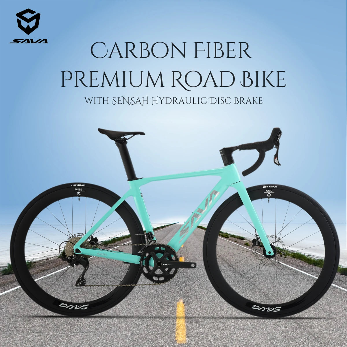 Carbon Fiber Road Bike