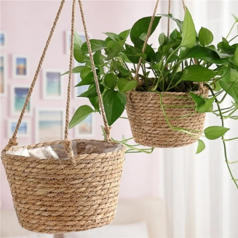 Home and Garden